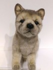 Hansa Real Plush Toy Pup Wolf Wolf Pup Child