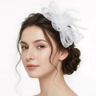 Fascinator Hat For Women Veil Feather Headwear Tea Party Wedding Retro Headband