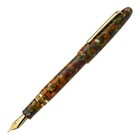 Esterbrook  Gt  Fountain Pen  F  Stainless Steel - One Pen Only