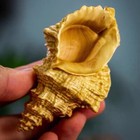 Chinese Boxwood Wood Hand Carving Conch Statue