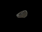 An Ancient Bronze Medieval byzantine Era Signet Ring  Detector Finds Artifact