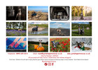 2027 Just Whippets Rescue Calendar