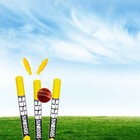 Ss Plastic Cricket Stumps -  pack Of 2 