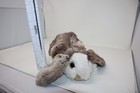 Folkmanis Baby Lop Rabbit Puppet Bunny Full Body Plush Realistic Animal Toy 12 