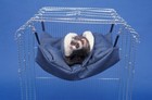 Sheppard   Greene Ferret Rat Cage Sleep Sack   Hammock - 6-pack