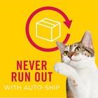 Friskies Gravy Wet Cat Food Variety Pack  Surfin    And Turfin    Prime Filet 40ct