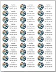 150 Seagull Bird Stained Glass Style Mailing Return Address Labels Personalized