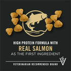 Purina Pro Plan Sport Performance 30 20 All Life Stages - Salmon   Rice  33 Lb