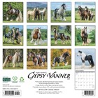 Gypsy Vanner Horse 2027 12  X 12  Wall Calendar free Shipping 