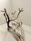 Manzanita Driftwood  Reptile Tank Decor   Aquascape  Terrarium  Aquarium Wood