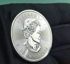 Canadian Maple Leaf 1 Oz Silver Coin  9999 2016   5 Dollars Privy Mark W16