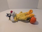 Warner Bros  Looney Tunes  Trick Or Treat Plush Sylvester In Tweety Costume Read