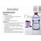 Antioxidant Solutions 100  Blueberry Juice Not From Concentrate  32 Fl Oz