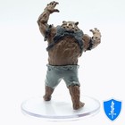 Werebear  brown  - Monster Manual Collection 2  31a D d Icons Of The Realms