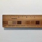 Vintage Wood Ruler Inlaid With 21 New Zealand Rare Wood Samples   Slight Damage