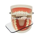 Dental Ortho Glass Photo Mirrors Intraoral Photographic Mouth Mirror Reflector