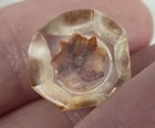  4  Antique Clear Flower Inlay Resin Shank Buttons Rare 