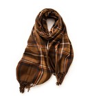 Women Fashion Plaid Winter Scarf 65x180cm Soft Warm Fringe Check Wrap