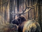 Vivi Crandall  sounds Of Silence  Signed Limited Edition