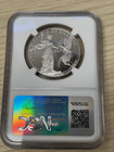 2015  100 Proof Platinum Eagle Ngc Pf 70 