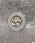1928 Hobo Nickel Buffalo Nickel  watchdog  Carved Coin Art