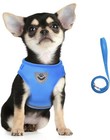 Pet Puppy Harness Breathable Mesh And Leash Set Vest Chest Strap-cat dog-small