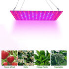 1000w Grow Light Full Spectrum Led Growing Lamp For Indoor Veg Bloom