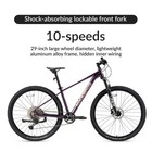 Rockbros Mt400 29 mountain Bike For Adult 10-speed 16 aluminium Frame Disc Brake