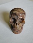 Skullis 2 0  Dinosaur Egg Agate Carved Crystal Skull  Realistic  Crystal Healing