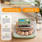 Incubator For Hatching Eggs Automatic Humidity And Temperature Control 12 Egg   
