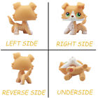Mini Pet Shop Lps Collie 272 Green Eyes Yellow Body Who Love Lps Kids Gift Rare