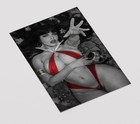 Vampirella Cosplay Premium Giclee Print 11  X 17  Vampire Wall Art