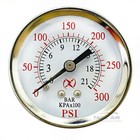 300 Psi Pressure Gauge Back Mount 1 4  Npt 2  Face Air  Water  Oil  Gas