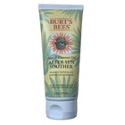 Burt s Bees Aloe coconut Oil After Sun Soother Botanical Lotion 6 Oz New sealed