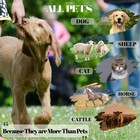 Pet Eye Care Ointment For Dogs Cats All Pets 1 8 Oz Tube Eye Discomfort Relief
