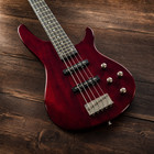 5 String Bass Guitar Electric Trans Red 24 Fret Dual Pickups Gig Bag Strap New