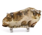 Plume Agate Slab Oregon 60 7 Grams 