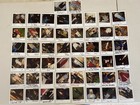 Lot Of 50 Madtv Actors Continuity Polaroid Original Photos Mad Tv Show Wardrobe