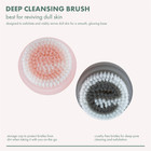 Ecotools Deep Cleansing Facial Brush  Makeup Remover Tool   Dry Brushing Body Br