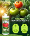 Foxfarm Grow Big Liquid Plant Food - Bloom Fertilizer For  Assorted Sizes 