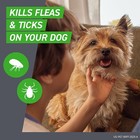 Frontline Plus Flea   Tick Spot Treatment For Small Dogs  5-22 Lbs  8 Count