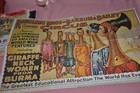 Poster  ringling Bros And Barnum   Bailey    P-162   giraffe Neck Women  