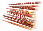 Set Of 50 Tiger Sea Urchin Spines  All Natural Top Quality Wind Chime Coastal