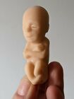 1 Soft Rubber Model Fetus  Unusual Medical Fetal Doll  Abortion