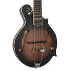 Goldtone F-12 Long Scale 12-string Manditar Mando-guitar W case  Tuner  And Cabl