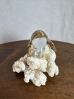 Natural White Coral With Hand Blown Glass Manatee With 24kt Gold Trim