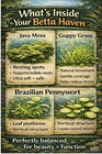 Betta Haven-betta Plant Pack     Guppy Grass   Pennywort   Easy Betta Habitat Kit