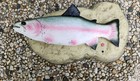 Vintage Gemmy Travis The Singing Rainbow Trout Fish Sings No Movement For Parts