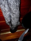 Huge Beautiful Tanned Silver Fox Fur Pelt Skin Taxidermy S1 Man Cave Log Cabin