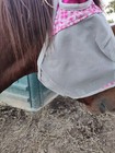 Horse Fly Mask With Ears And Forelock 